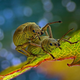 Imagen para el artículo titulado Estas son algunas de las fotos microscópicas más espectaculares del año